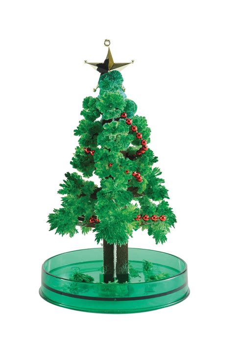 A Fun and Interactive Holiday Activity: Growing Your Own Xmas Tree